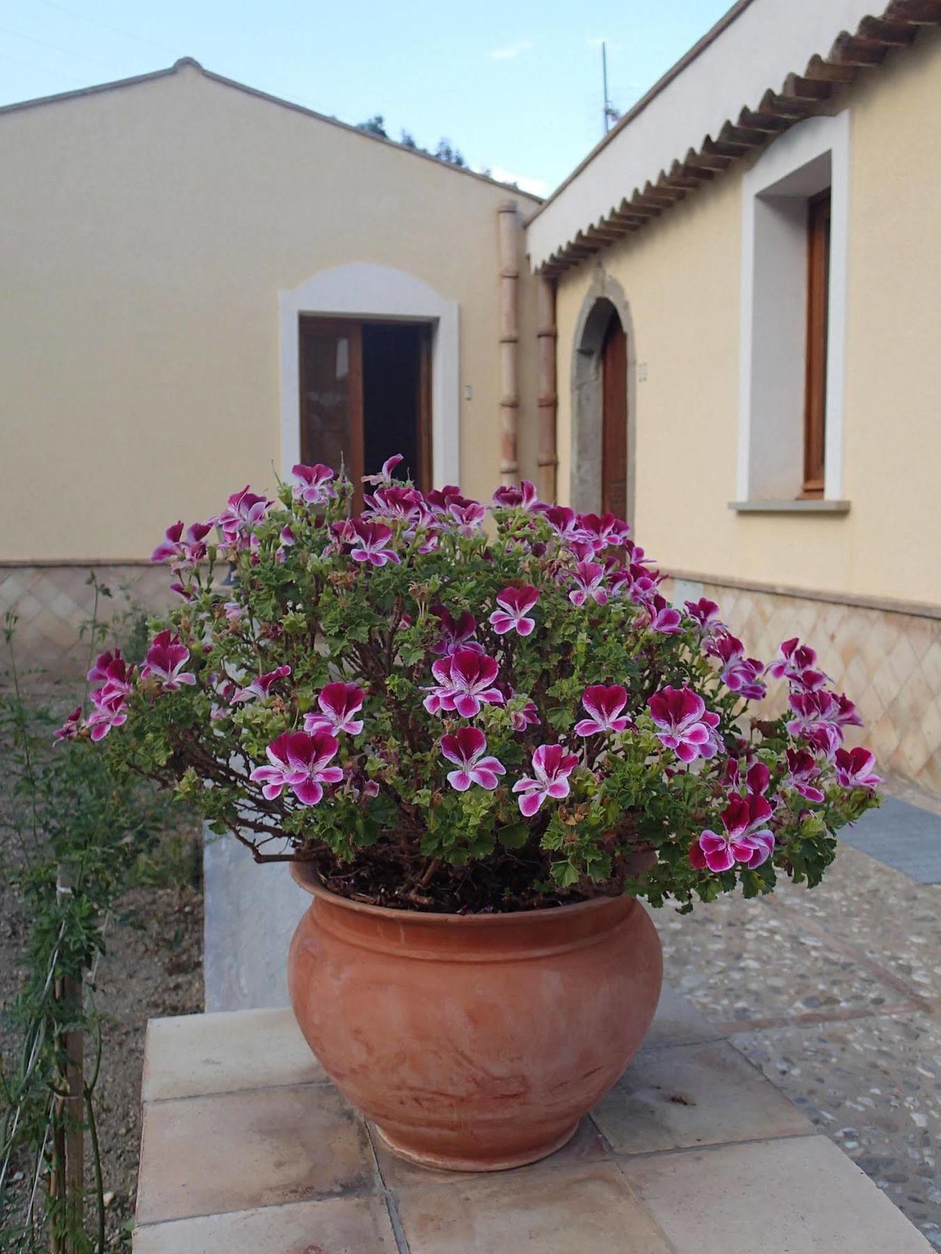 Patitiri Guest House Санта Тереза ди Рива Екстериор снимка